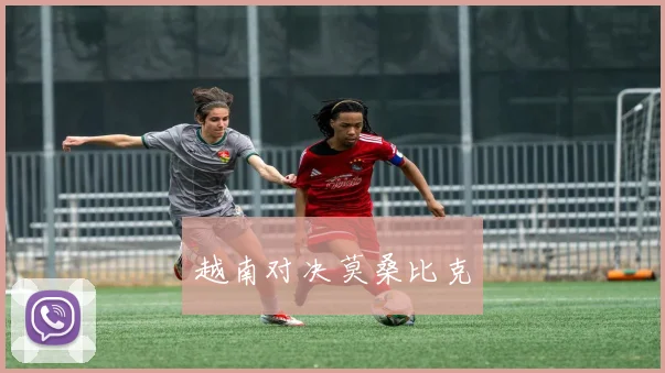 越南对决莫桑比克