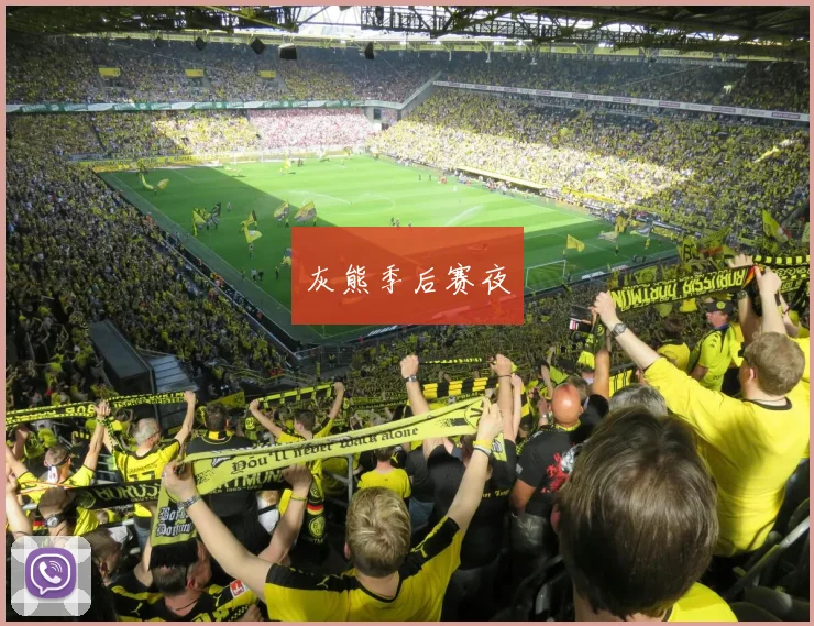 灰熊季后赛夜