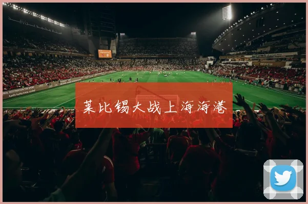 莱比锡大战上海海港