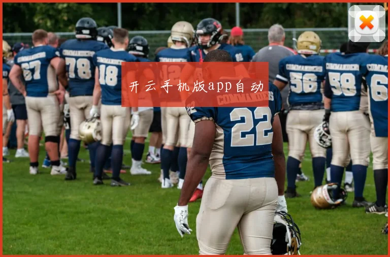 开云手机版app自动