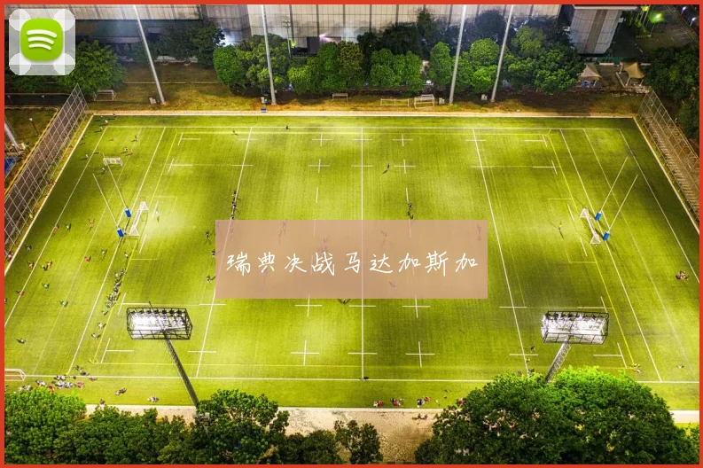 瑞典决战马达加斯加