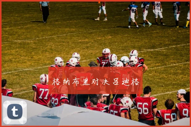 格纳布里对决吕迪格