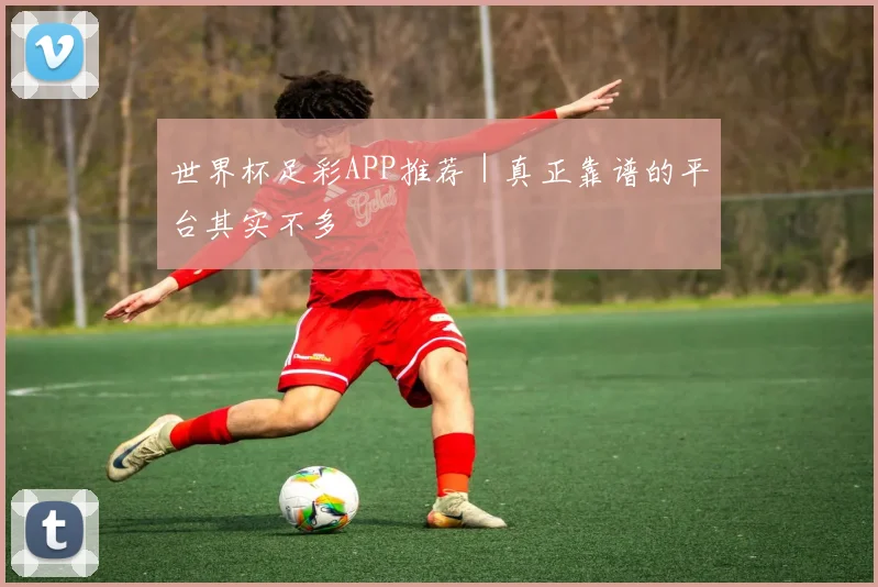 世界杯足彩APP推荐｜真正靠谱的平台其实不多