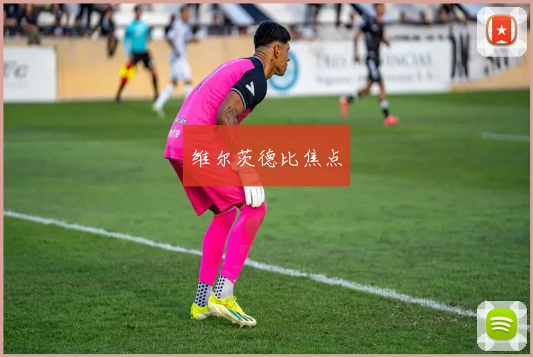 维尔茨德比焦点