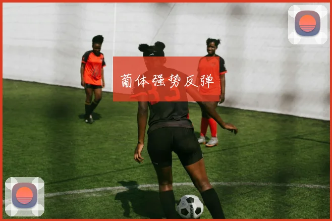葡体强势反弹