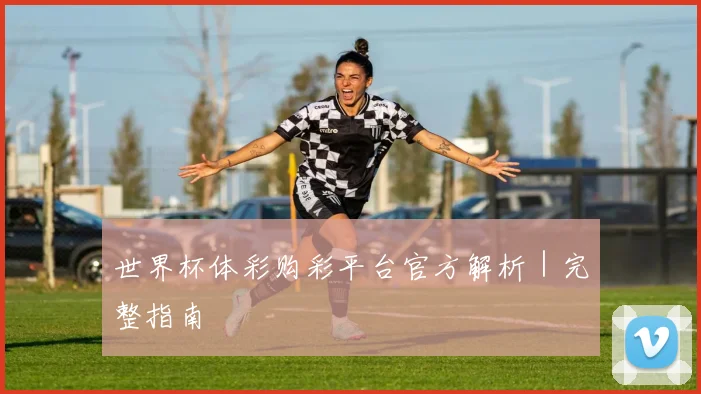 世界杯体彩购彩平台官方解析｜完整指南
