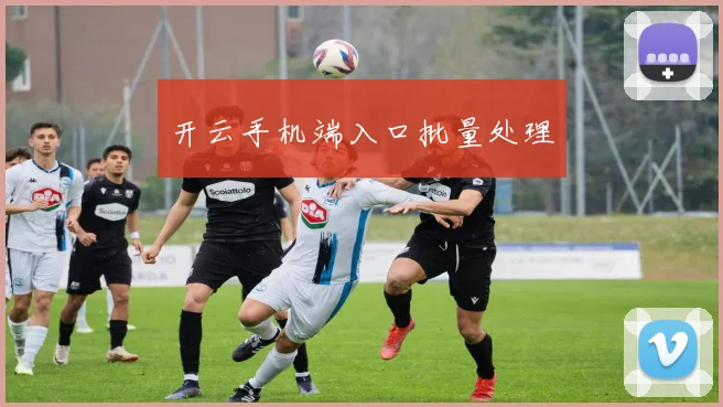 开云手机端入口批量处理