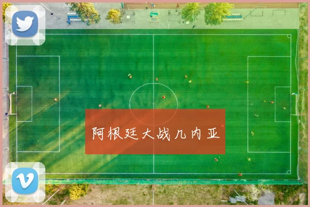 阿根廷大战几内亚