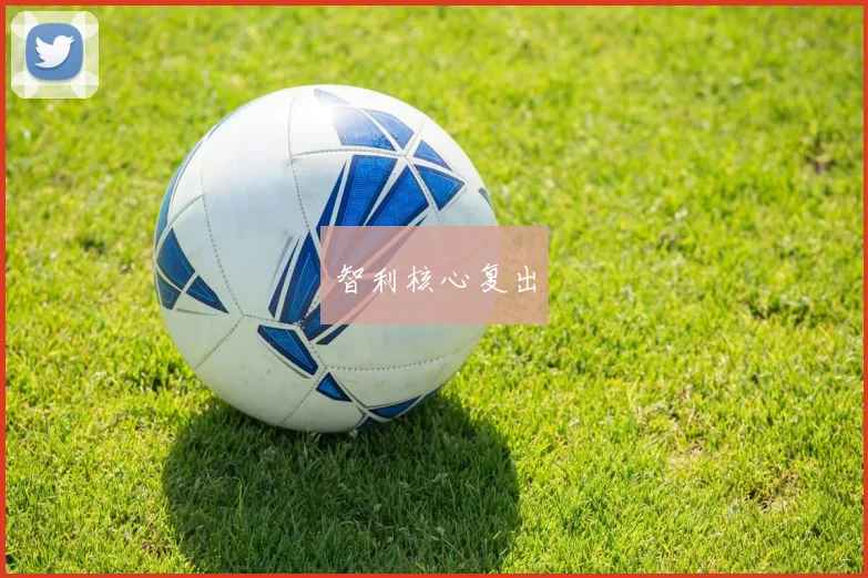 智利核心复出