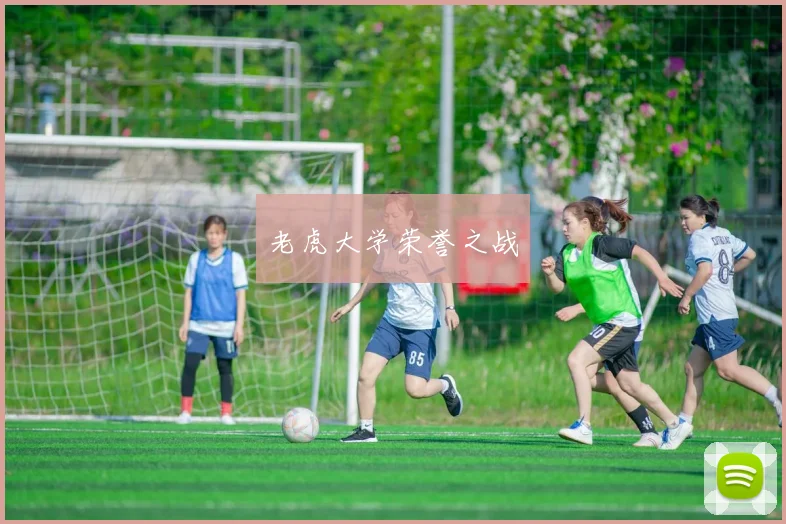 老虎大学荣誉之战