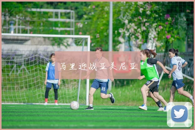 马里迎战亚美尼亚