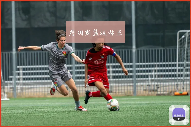 詹姆斯篮板称王