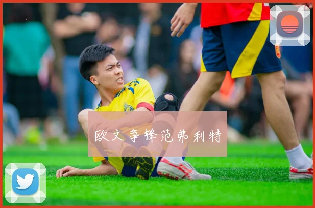 欧文争锋范弗利特