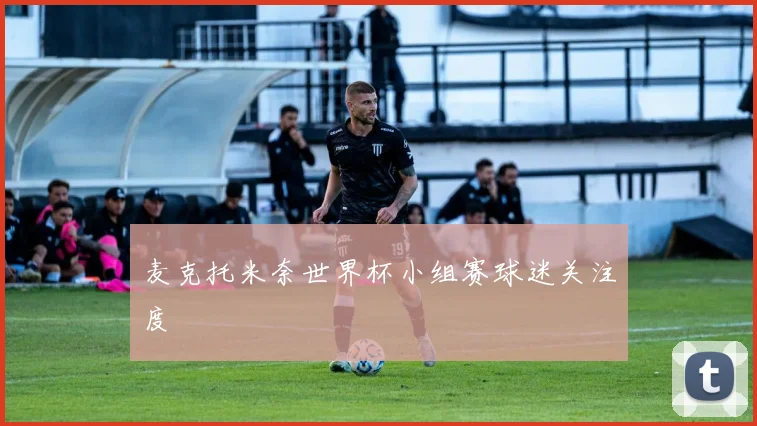 麦克托米奈世界杯小组赛球迷关注度