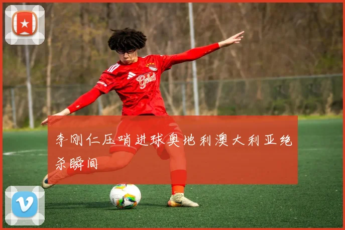 李刚仁压哨进球奥地利澳大利亚绝杀瞬间