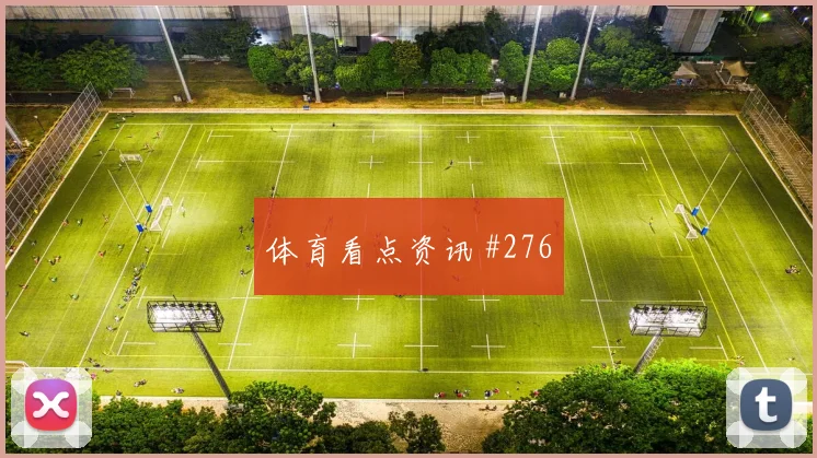 麦卡利斯特世界杯小组赛中路组织任务