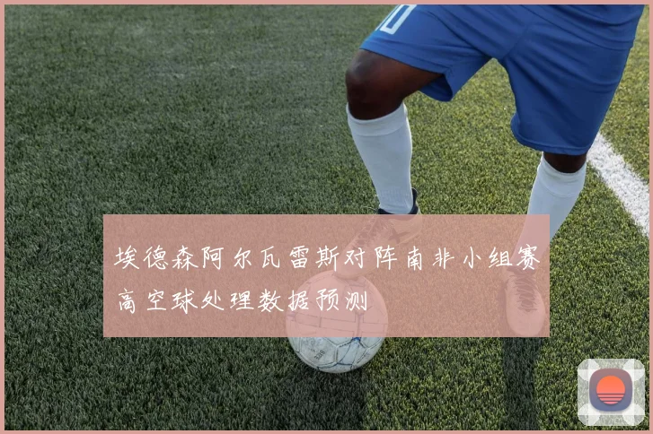 埃德森阿尔瓦雷斯对阵南非小组赛高空球处理数据预测